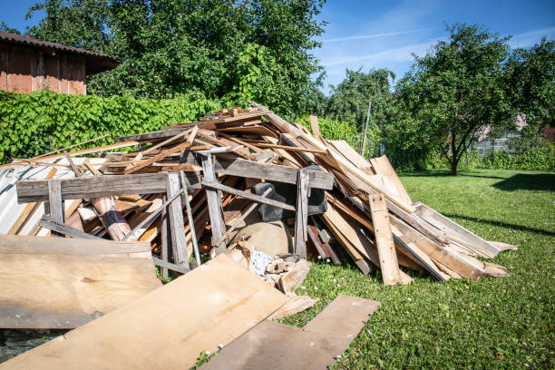 Shed Removal